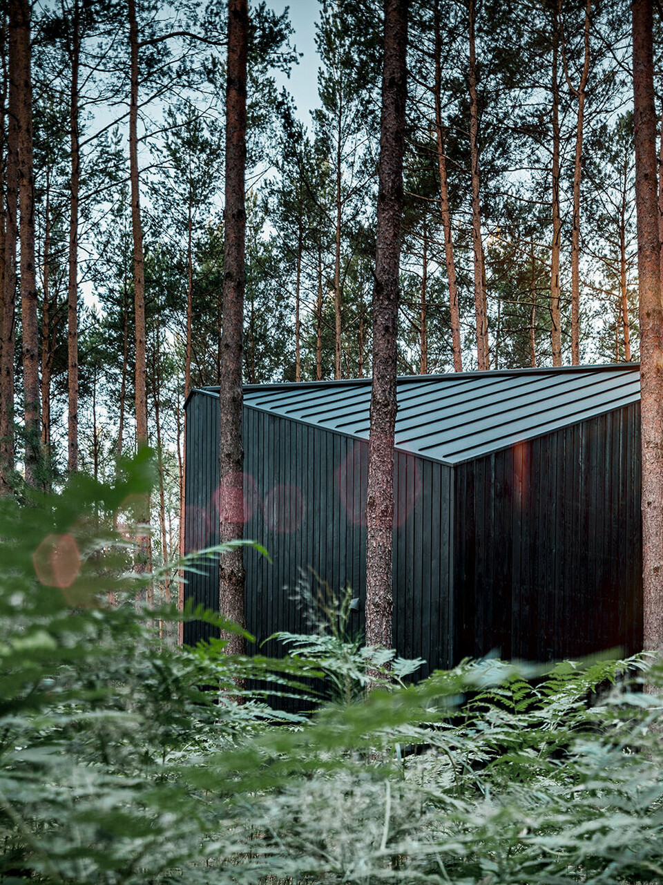 Das Ferienhaus "Boroteka" sticht mit seiner dunklen Holzfassade und einem schwarzen PREFA Dach zwischen Kiefern hervor.