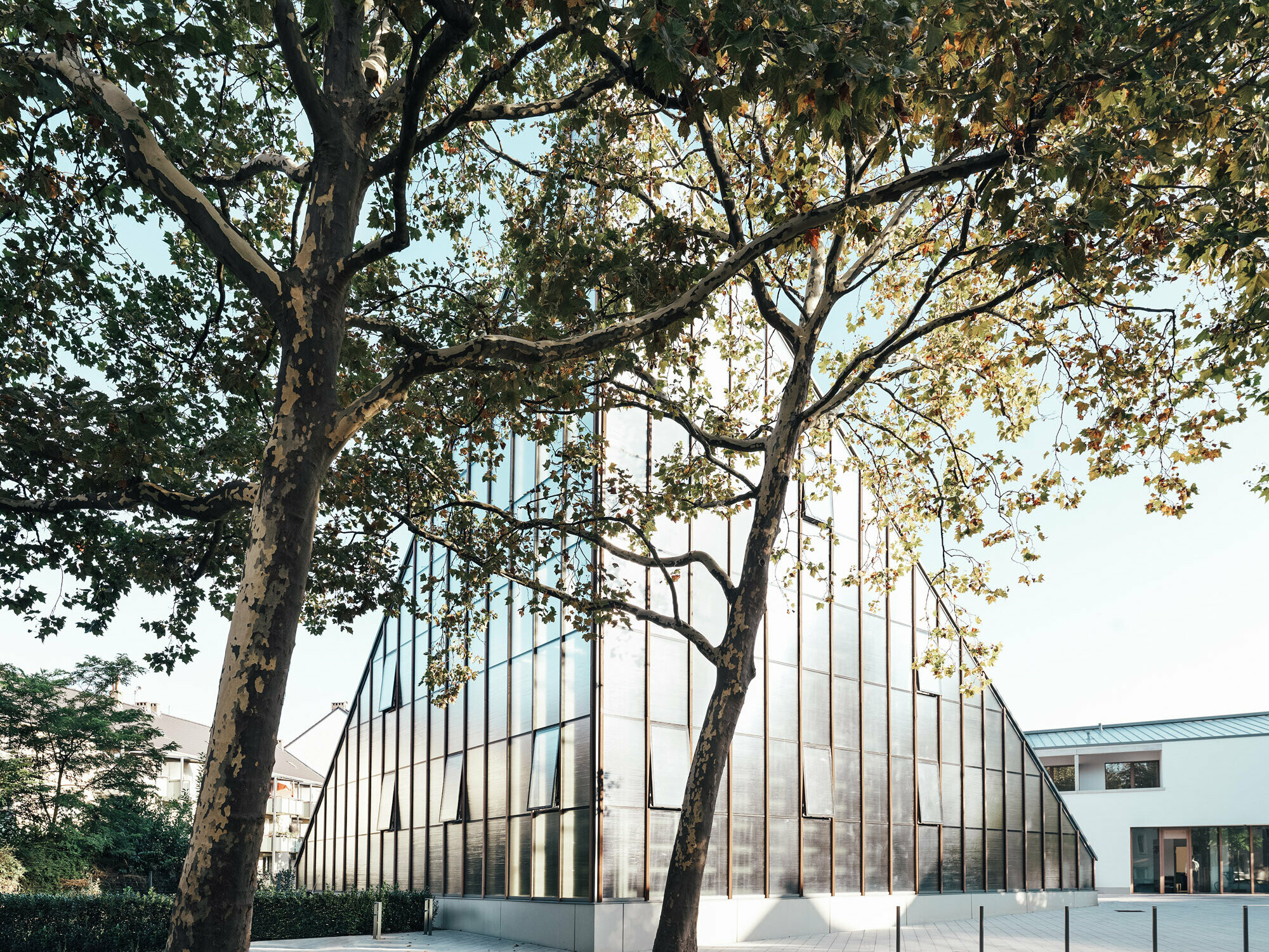 Stephanskirche in Köln, überdacht in Prefalz P.10 Dunkelgrau
