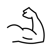 Zeichnung eines muskulösen Arms 