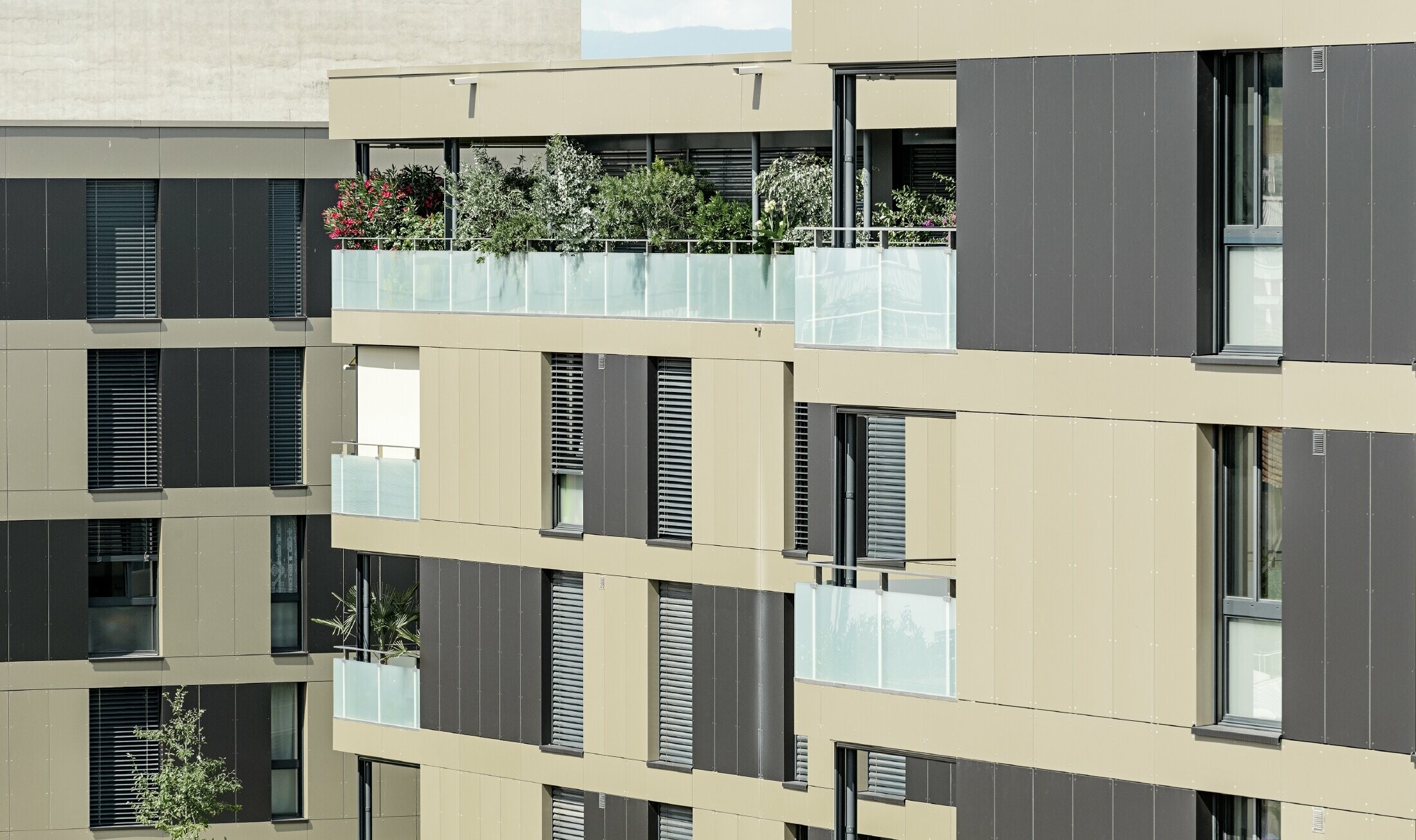 Würfelige Wohnhausanlage mit einer Aluminiumfassade in Bronze mit schwarzgrauen Elementen