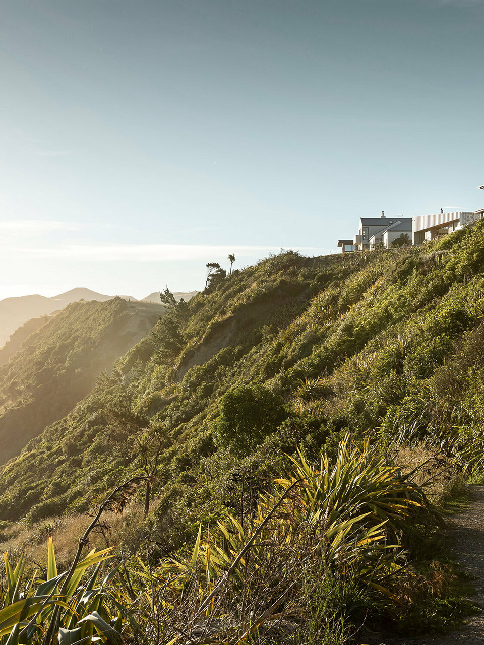 Aufnahme von der Landschaft Motunaus, darauf sichtbar der Strand von Motunau, die Vegetation sowie die Klippen, an deren Rand ein paar Häuser gebaut wurden, unter anderem auch das Whitecaps House von Three Sixty Architecture.