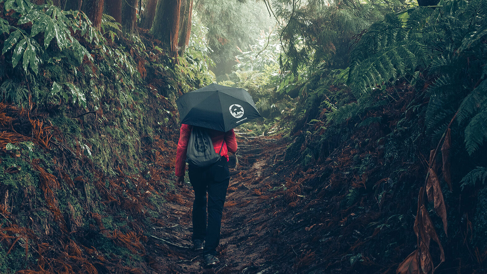 Aufnahme im Wald mit Wanderin in roter Jacke mit PREFA Regenschirm und Turnbeutel, symbolisiert den PREFA Umweltschutz und Nachhaltigkeit, sowie die Kreislaufwirtschaft und Recycling