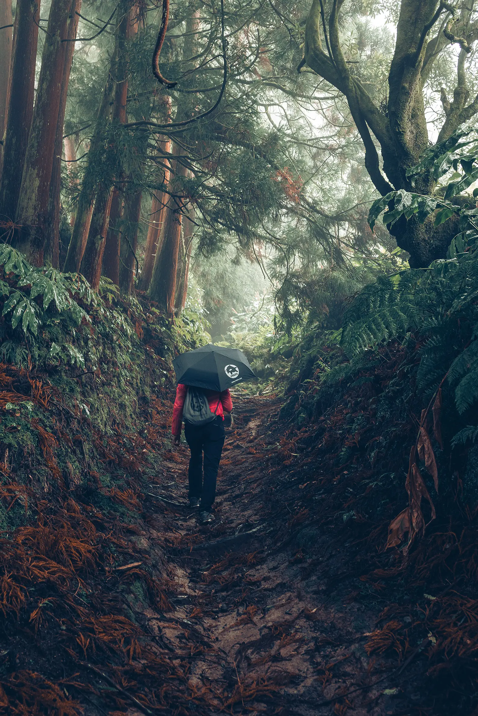 Aufnahme im Wald mit Wanderin in roter Jacke mit PREFA Regenschirm und Turnbeutel, symbolisiert den PREFA Umweltschutz und Nachhaltigkeit, sowie die Kreislaufwirtschaft und Recycling
