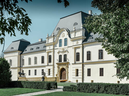 Schloss Humenne mit Dacheindeckung aus PREFA Dachrauten 29 × 29 in Anthrazit