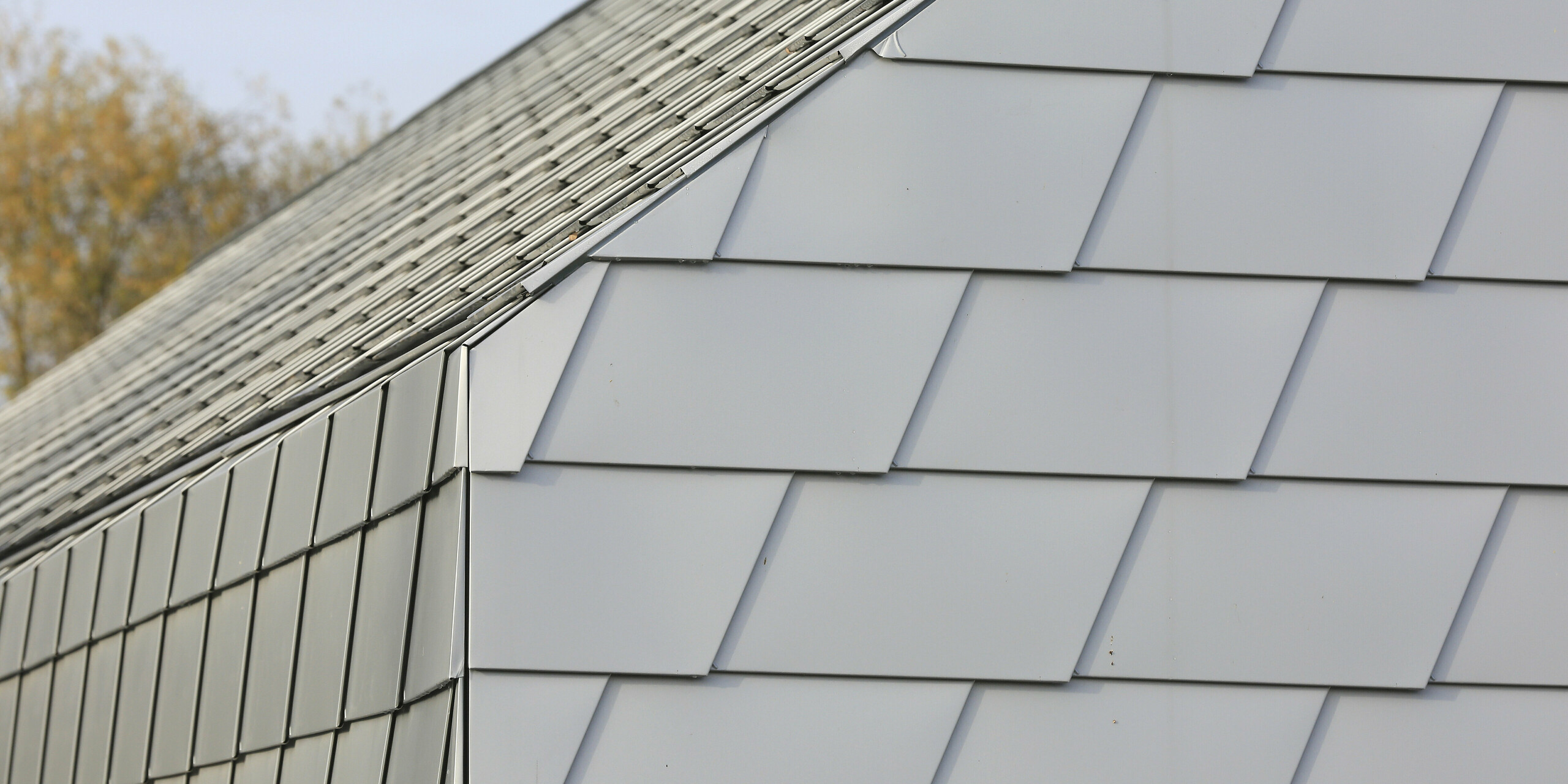 Nahtloser Übergang vom Dach zur Fassade mit kleinformatigen Schindeln von PREFA am Tierschutzverein Mullhouse